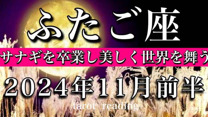 ふたご座♊︎2024年11月前半 サナギ期間卒業🔥新たな世界を飛び回る！Gemini tarot  reading