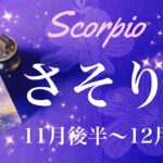 さそり座♏️2024年11月後半〜12月前半🌝復活！年末に向けて一気に加速！始まりの合図、一緒に分かち合う喜び