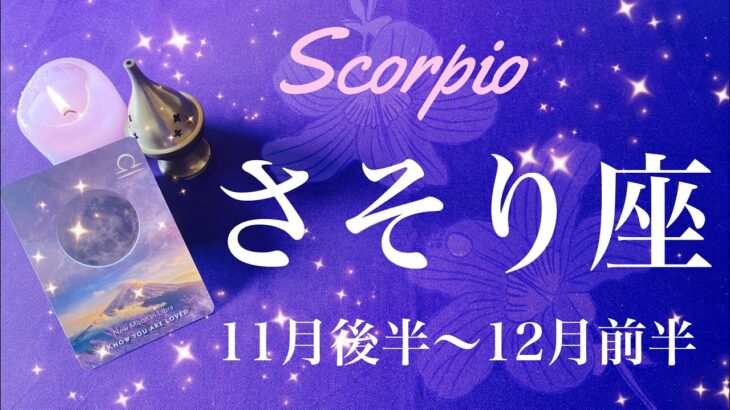 さそり座♏️2024年11月後半〜12月前半🌝復活！年末に向けて一気に加速！始まりの合図、一緒に分かち合う喜び