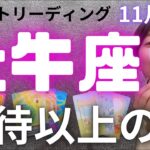 11月前半の運勢【牡牛座】想像以上のLOVEキタ❤️あなたの人生色付き出しました🌈アフタートークを添えて✨