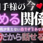 【的確🐱結果ガチ忖度なし‼️】今、お相手が求める関係【お相手様のお気持ち♦︎有料鑑定級♦︎】