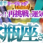 水瓶座 10月前半【リベンジチャンス到来！煮詰まり状態から抜ける】自分の成長を感じつつ更に拡張　　みずがめ座　2024年１０月運勢  タロットリーディング