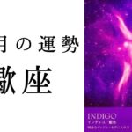 【蠍座🍁11月の運勢】誕生日を境に人生の流れが変わる！！奇跡のシナリオが用意されています✨2024年タロット占い