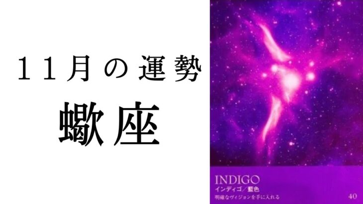 【蠍座🍁11月の運勢】誕生日を境に人生の流れが変わる！！奇跡のシナリオが用意されています✨2024年タロット占い