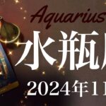 【みずがめ座】2024年11月♒️ 待ちに待ったゴーサイン！勢い良く進み始める！驚くほどぴったり、分かり合える奇跡、ゴールは現実