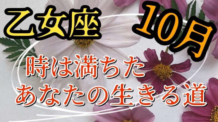 乙女座　【10月】　生きづらかったね　あなたらしく生きる道をやっと選択できる　もう遠慮しなくていい