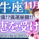 【牡牛座】超神展開!!! 待ちに待った恩恵を受ける時!! 見逃し注意です👀 ✨【仕事運/対人運/家庭運/恋愛運/全体運】11月運勢  タロット占い