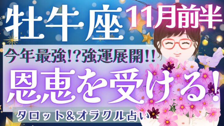 【牡牛座】超神展開!!! 待ちに待った恩恵を受ける時!! 見逃し注意です👀 ✨【仕事運/対人運/家庭運/恋愛運/全体運】11月運勢  タロット占い