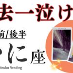 蟹座11月は【過去一泣けました】自分を縛るのはもう終わり❗️大きく飛ぶ準備をしましょう❗️前半後半仕事恋愛人間関係♋️【脱力系タロット占い】