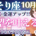 【さそり座】個人鑑定級!! “宇宙の応援”入っています!! もっとワガママに生きてください🌻✨【仕事運/対人運/家庭運/恋愛運/全体運】10月運勢  タロット占い