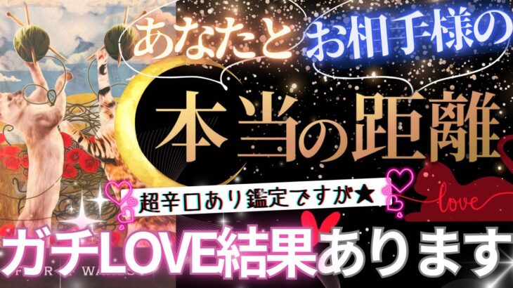 【ガチLOVE結果も❤️辛口も❤️超リアル覚悟】恋愛的に見た！二人の本当の距離💓お相手&あなた【忖度一切なし♦︎有料鑑定級♦︎】