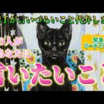 【緊急】あの人の超リアルな本音💗実はこう思ってます！あの人の気持ち　2人の今後の未来✨　透視細密リーディング　個人鑑定級　タロット占い