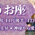 【うお座】11月後半運勢　大注目です😲人気運急上昇、神様から愛される最高のボーナスタイム💌幸運の鍵は、まずやってみること【魚座 １１月】【タロット】