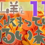 【山羊座】2024年11月前半の運勢♑️〝 幸運期到来の予感‼️丸く収まっていく明るい未来‼️自分のペースを守りながら走ることで沢山の自信の種をみつけられる🌱〟仕事・人間関係のタロットリーディング🔮