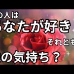 あの人はあなたが好き？それとも別の感情？鳥肌もん🫨🩷恋愛タロット占い ルノルマン オラクルカード 個人鑑定級に深掘り 細密リーディング