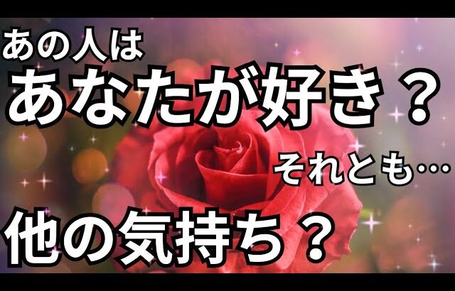 あの人はあなたが好き？それとも別の感情？鳥肌もん🫨🩷恋愛タロット占い ルノルマン オラクルカード 個人鑑定級に深掘り 細密リーディング