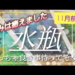 【11月前半🍀】水瓶座さんの運勢🌈痛みは癒えました✨✨再生のエネルギー！めっちゃ良き事待ってそう💛💓💛