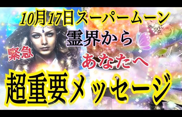 【10月17日スーパームーン🌕✨】「霊界」からあなたへ緊急😳超重要メッセージ📩✨個人鑑定級タロット占い🔮⚡️