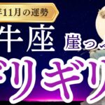 【牡牛座】2024年11月のおうし座の運勢をタロットと占星術で紐解きます