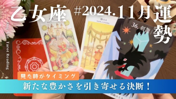 乙女座♍️2024年11月の運勢　受け取る豊かさと次へのスタート‼️