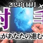 【いて座♐️2024年11月】🔮タロットリーディング🔮〜今月はあなたらしく進む道が見えてきます✨〜