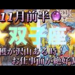 双子座♊️さん⭐️11月前半の運勢🔮幸せな収穫が沢山ある時‼️お仕事面が絶好調です✨タロット占い⭐️