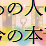 あの人の本音・本心🦄💖個人鑑定級深掘り タロット🌞🌈