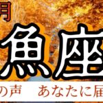 魚座　2024年11月　内神様がサインを出しています　あなたの生き方応援します