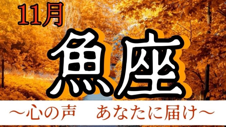 魚座　2024年11月　内神様がサインを出しています　あなたの生き方応援します