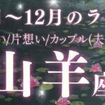 【山羊座11月〜12月の恋愛運💕】出逢い/片想い/パートナーor結婚している方向けタロットリーディング♪