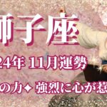 【しし座】11月運勢　冥王星の力💪強烈に心が惹かれる11月へ🌈自分の想いに素直になって、未来を変えるとき【獅子座 １１月】【タロット】