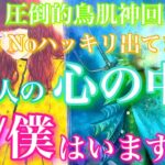 💕圧倒的鳥肌神回 ⚠️Yes/Noハッキリ出てます⚠️🍁あの人の心の中に私/僕はいますか？どんな感情？深堀鑑定🦋