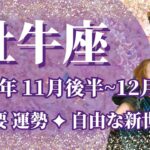 【おうし座】11月後半運勢　超重要運勢😲価値観まるごと大変化✨自由な新世界へ🌈幸運の鍵は、ルールに縛られすぎないこと【牡牛座 １１月】【タロット】