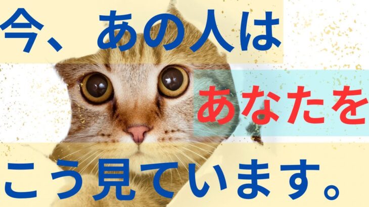 今あの人はあなたの事をこんな風に見ています。激白❤️‍🔥恋愛タロット占い ルノルマン オラクルカード 個人鑑定級に深掘り 細密リーディング