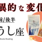 牡牛座11月【驚異的な変化】リニューアルの時期ですよ❗️見逃し厳禁で❗️前半後半仕事恋愛人間関係♉️【脱力系タロット占い】