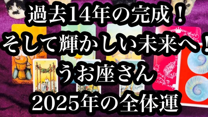 ついに成功！そして明るい未来へ！うお座さん2025年の全体運。Finally successful! And to a bright future! Pisces luck in 2025.