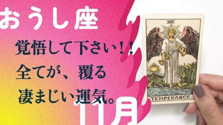 神回決定！！嘘みたいな強運が来てるから、準備して下さい。【11月の運勢　牡牛座】