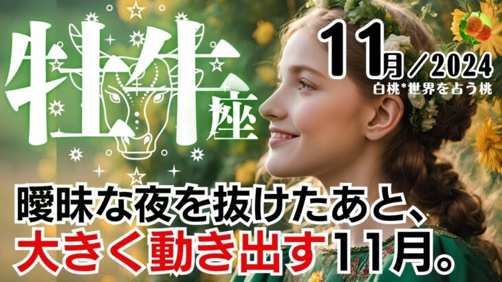 牡牛座♉2024年11月★曖昧な夜を抜けたあと、大きく動き出す11月