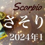 【さそり座】2024年11月♏️ 終了！そして新たな始まり！確定する！小さなタネが予想外の芽を出す、柵の外に見つかる自由