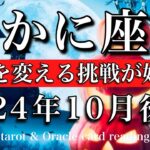 かに座♋︎2024年10月後半　歩幅合わせは終わり🔥運命を変える挑戦が始まる🌠Cancer tarot  reading