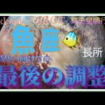 関係の見直しでもっと出会える🍀魚座♓️さん【冥王星順行へ〜あなたに起こる最後の調整とは⁉️】#2024 #星座別 #タロット占い