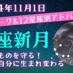 蠍座新月♏︎これを知っていれば2025年はレベルアップ💫新月の星読み西洋占星術