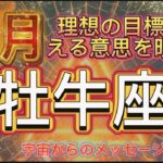 [牡牛座11月]楽しみながら理想を実現出来る時[宇宙からのメッセージ]