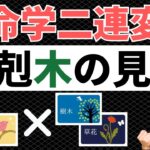 【算命学占い】二連変化金剋木の見方！闘争心で自分を見失わないように注意の運勢