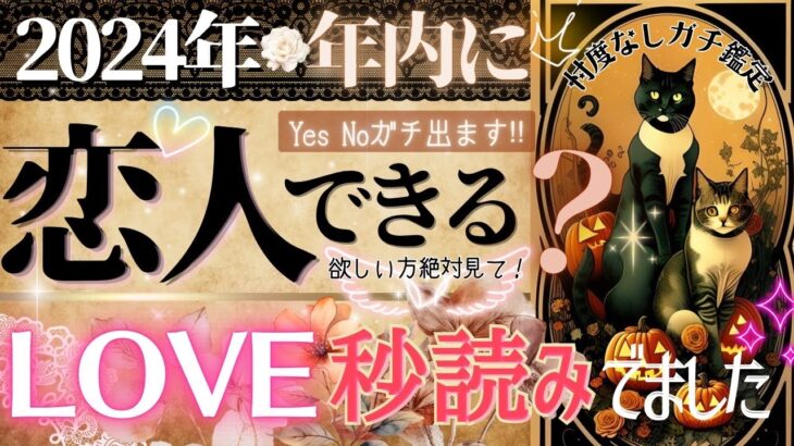 【💗2024年💗ガチ年内中に🥺❣️】❤️選択肢⭕️の方❤️大チャンス来てます！❤️恋人できますか？【忖度一切なし♦︎有料鑑定級♦︎】