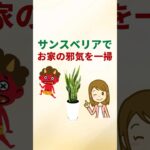 サンスベリアでお家の邪気を一掃する方法【観葉植物風水アドバイザーが解説】#shorts