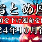 おとめ座♍︎2024年10月後半　その時はいつか来る🌠期待値を下げ運命を信じる💫　Virgo tarot  reading