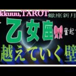 自分の可能性を広げる🌼乙女座♍️さん【蠍座新月🌚〜今なら出来る❣越えていく壁どう越えていくか】#2024 #星座別 #タロット占い