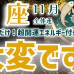 【魚座】2024年11月のうお座の運勢。驚きの展開が待ち受ける！星とタロットによる未来鑑定