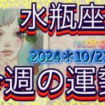 ♒️水瓶座さん特化型【今週の運勢】2024＊10/21〜27＊reading＆talk『効果的に願うイメージ』の話し#23